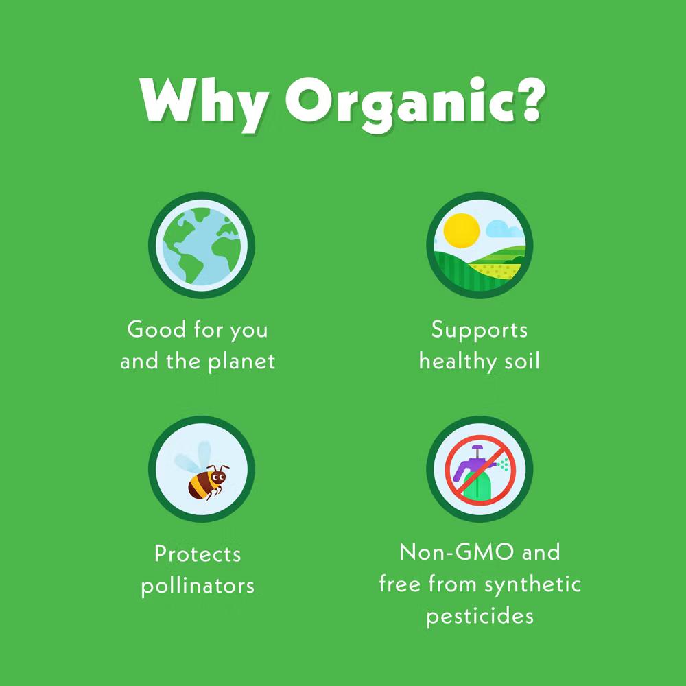 Once Upon A Farm Go-Go Greens Organic Dairy-Free Kids' Smoothie - 4oz Pouch - Image 3