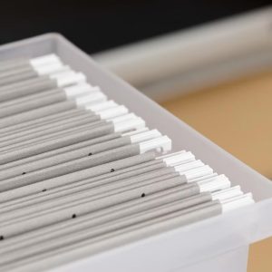 Medium Portable Desktop File Box with Open Top, Letter Size, Clear