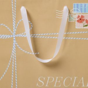 Large Square 'Special Delivery' Letter Birthday Gift Bag Natural