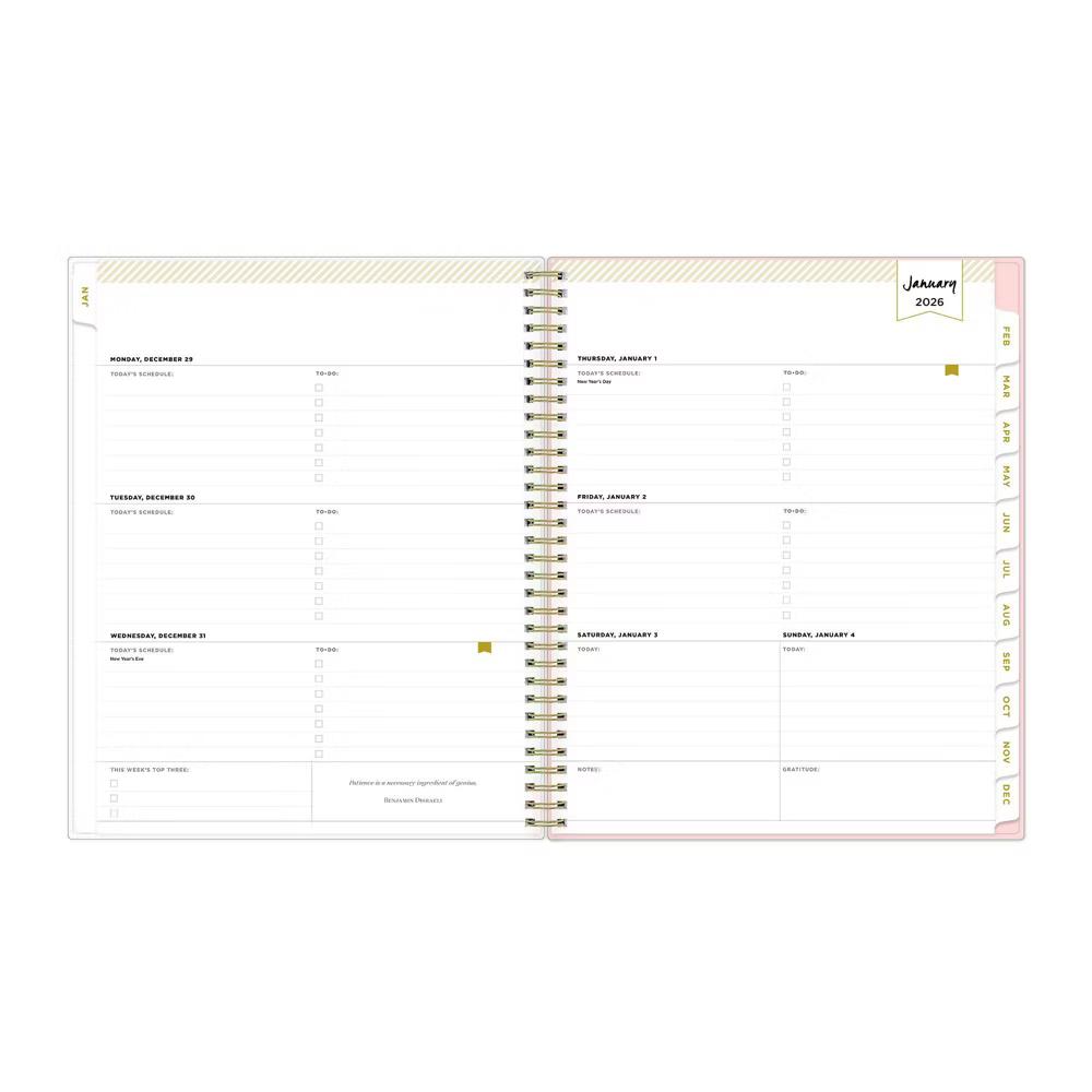Blue Sky Day Designer 2026 Weekly/Monthly Planner 8.5"x11" Rose Pink Floral