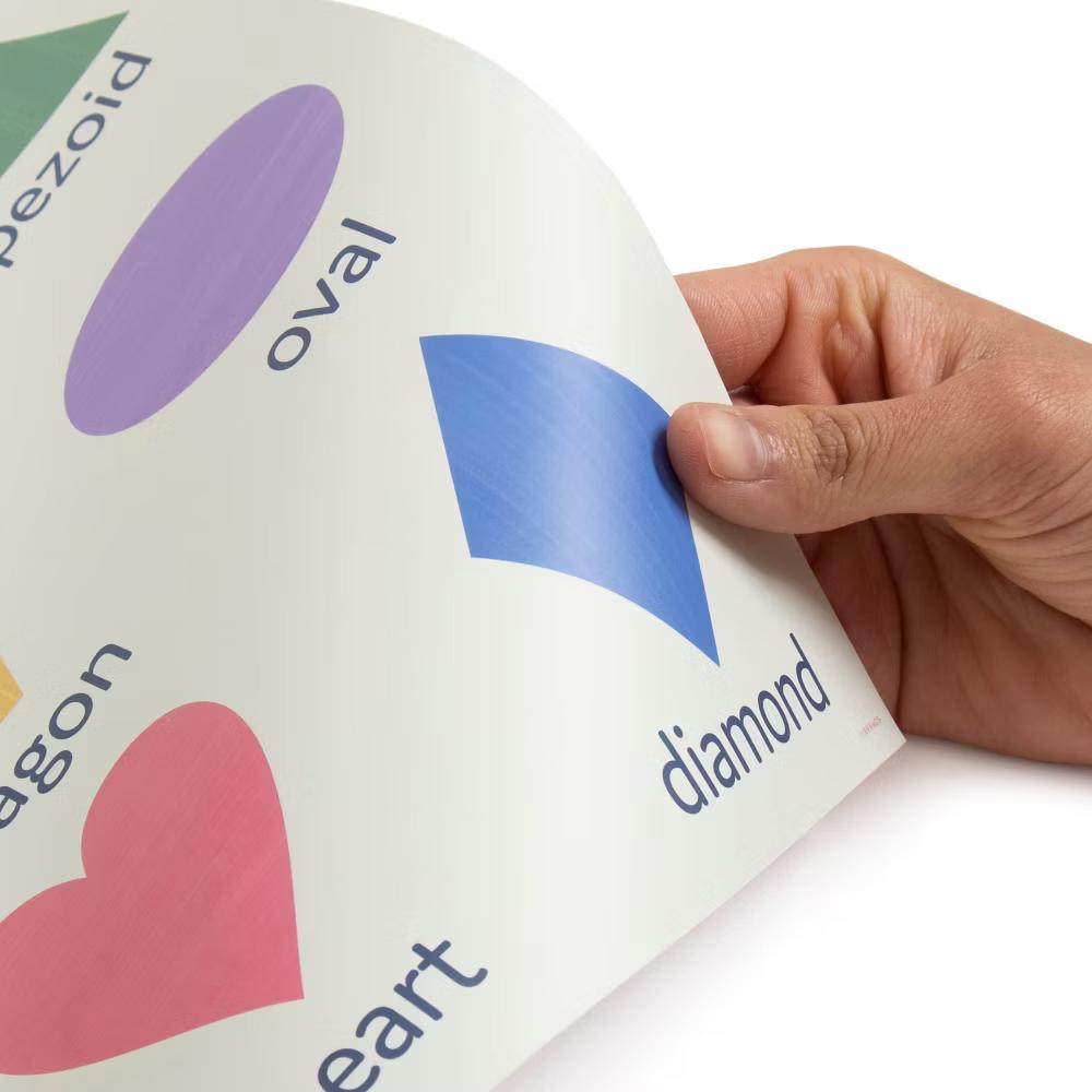 6ct 11"x17" Learning Poster Set Learning Posters - Image 7