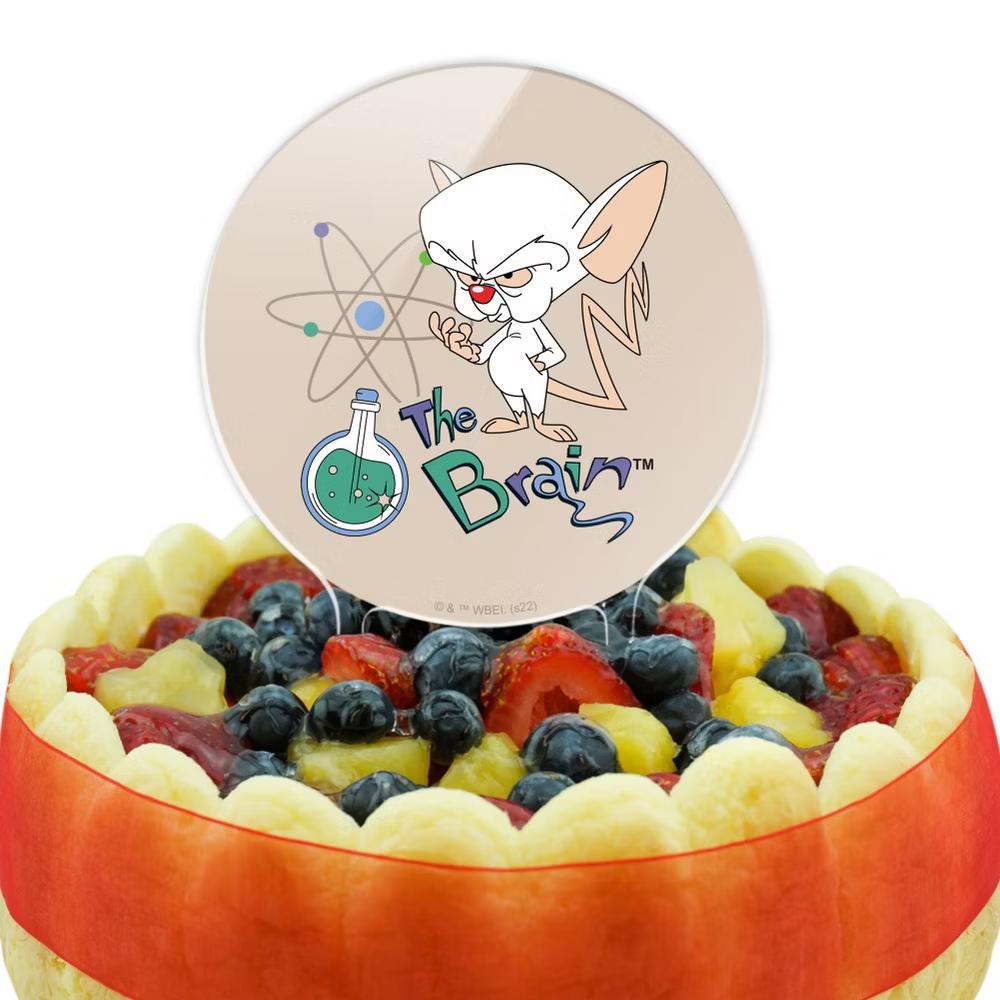 Pinky and the Brain The Brain Acrylic Cake Topper