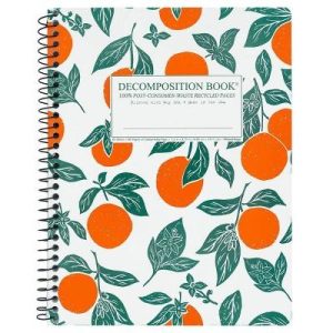 Decomposition Book 7.5"x9.75" College Ruled Spiral Notebook Oranges 160 Page