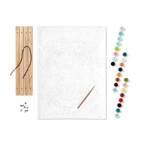 Paint by Number Kit Dog Golden Retriever - Adult DIY Painting Kit with Paint & Brush
