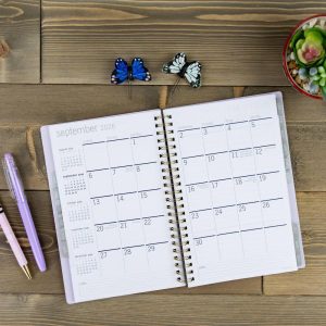 PlanAhead 5.5"x8" April 2026 - June 2027 Monthly/Weekly Planner Purple with Gold Foil Touches