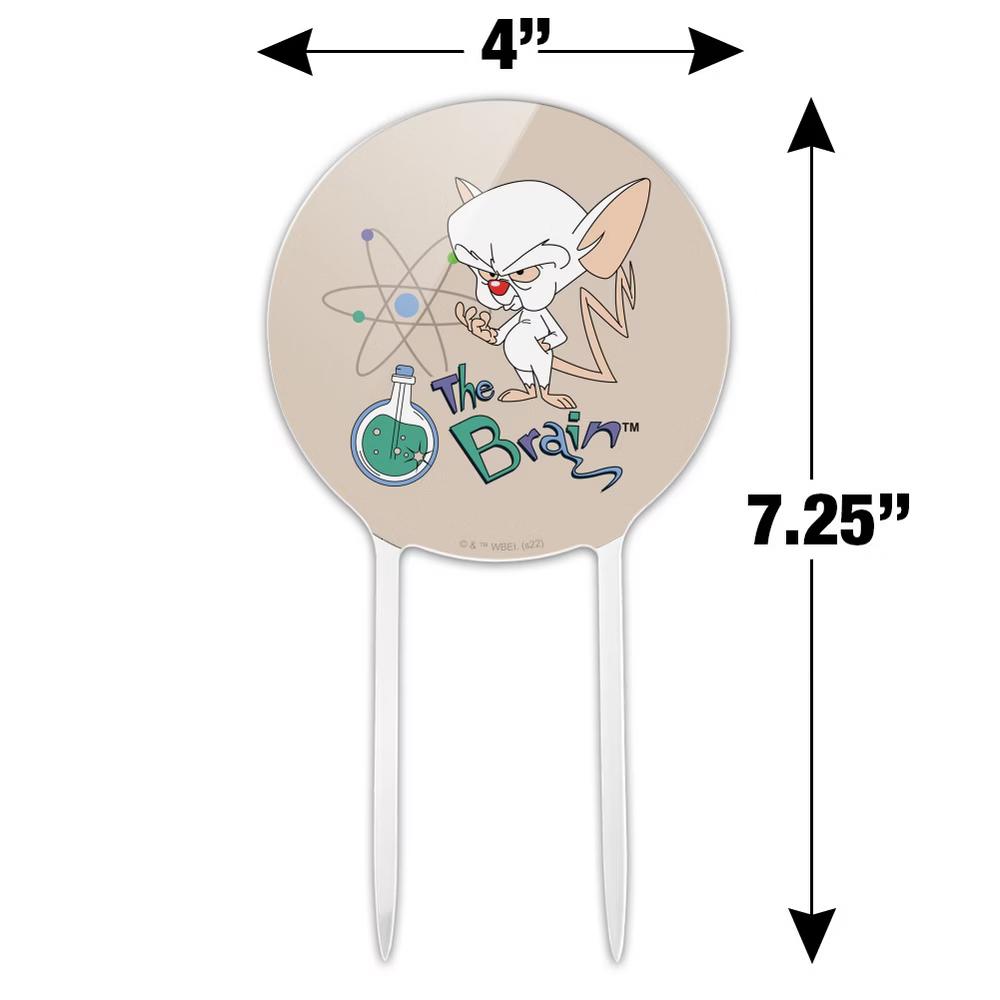 Pinky and the Brain The Brain Acrylic Cake Topper - Image 3