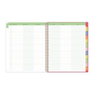 Blue Sky 8.5"x11" 2026-2027 Weekly/Monthly Teacher Lesson Planner Frosted Apple Sketch