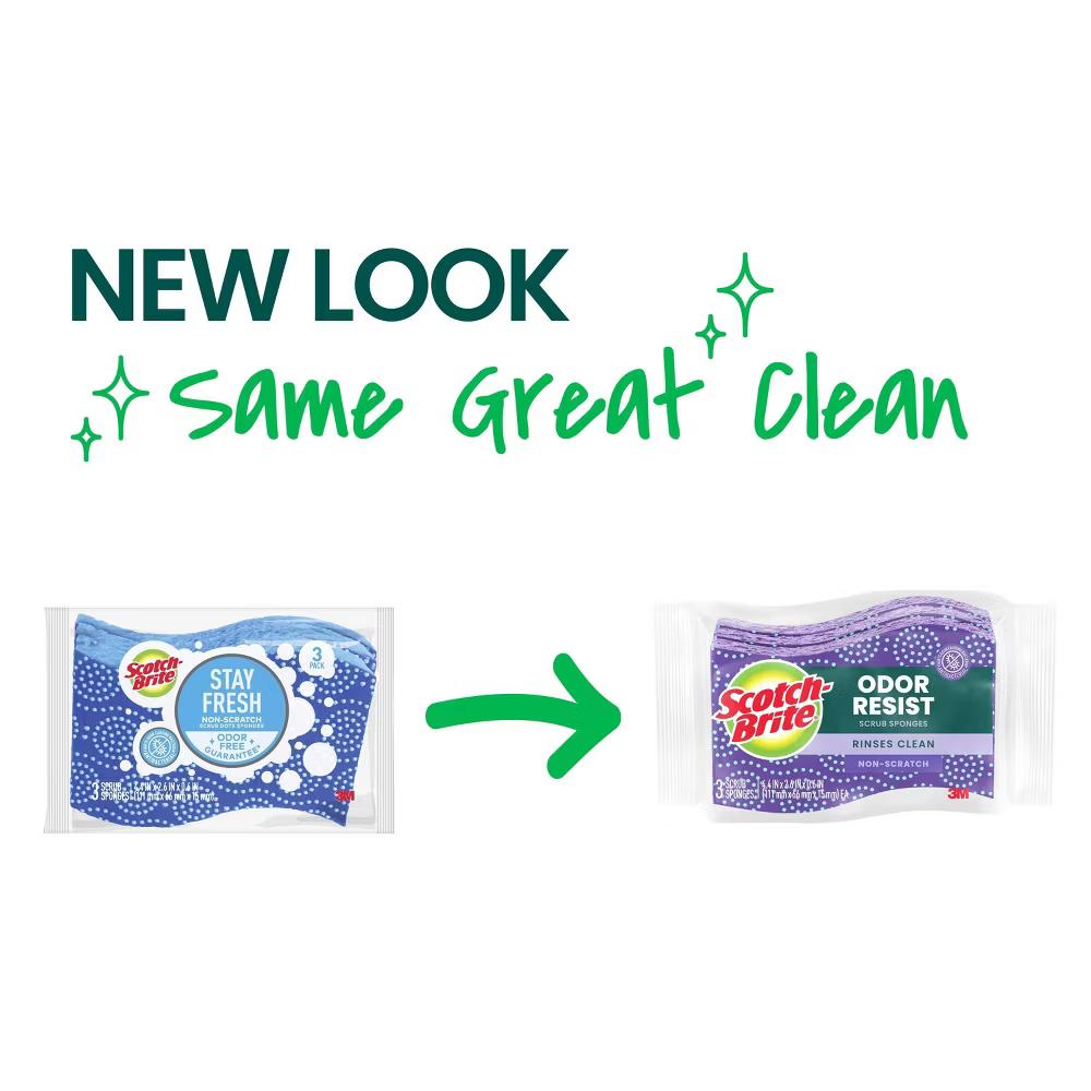 Odor Resist Non-Scratch Sponges