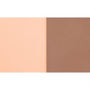 Wet n Wild Countouring Palette Beige -.44oz
