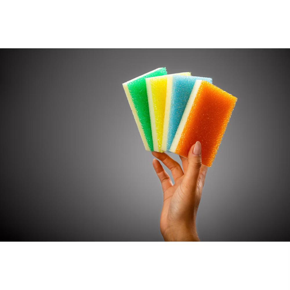 Sponge - 4ct - Image 9