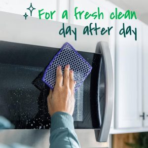 Stay Clean Scrubbing Dish Cloth Sponges - 2ct: Cellulose Material, Cleaning Tools, 8" 4.75" Size
