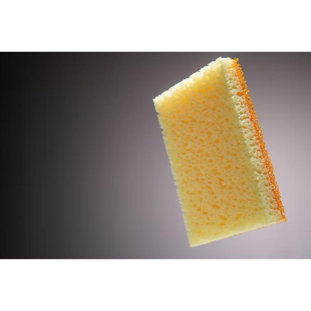 Sponge - 4ct - Image 7