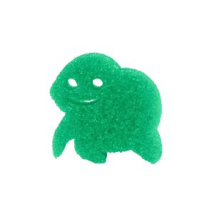 Turtle Sponge