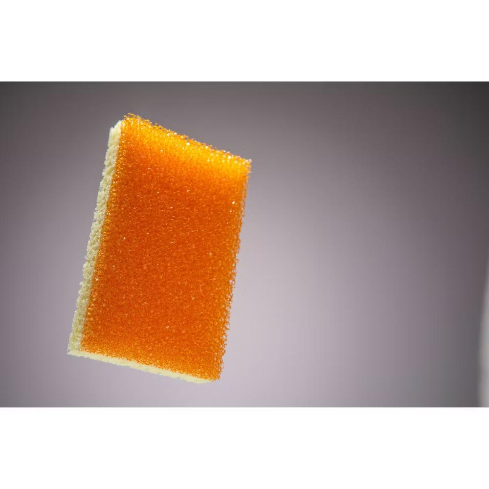 Sponge - 4ct - Image 11