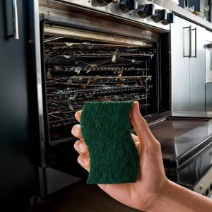 Heavy Duty Scrub Sponges