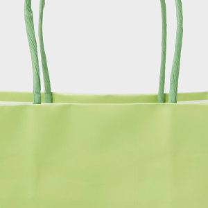 Color Block Gift Bag Green