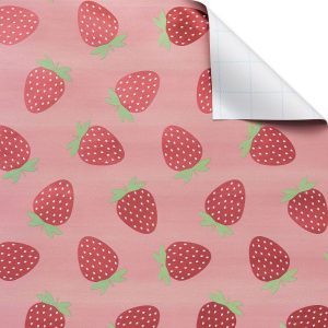 20 Sq Ft Kids'' Strawberries Wrapping Paper